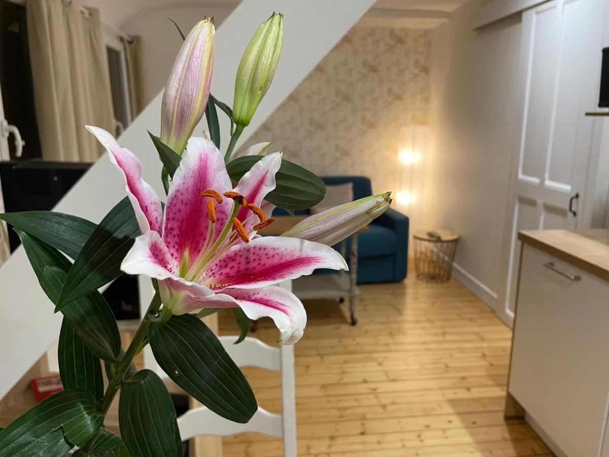Houlgate Appartement La Briarde מראה חיצוני תמונה